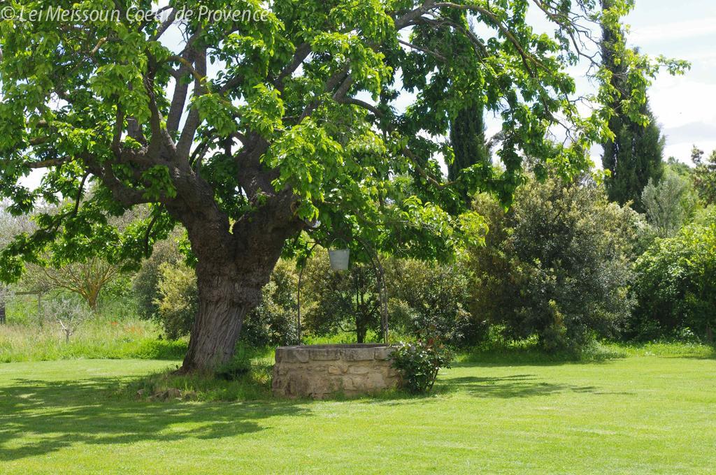 Lei Meissoun Holiday home Mallemort
